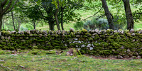 Stacked Stone Fence with Moss