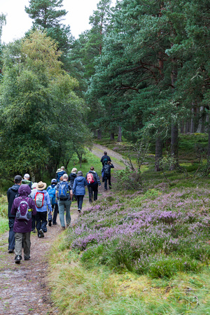 Walking Group in Scotland